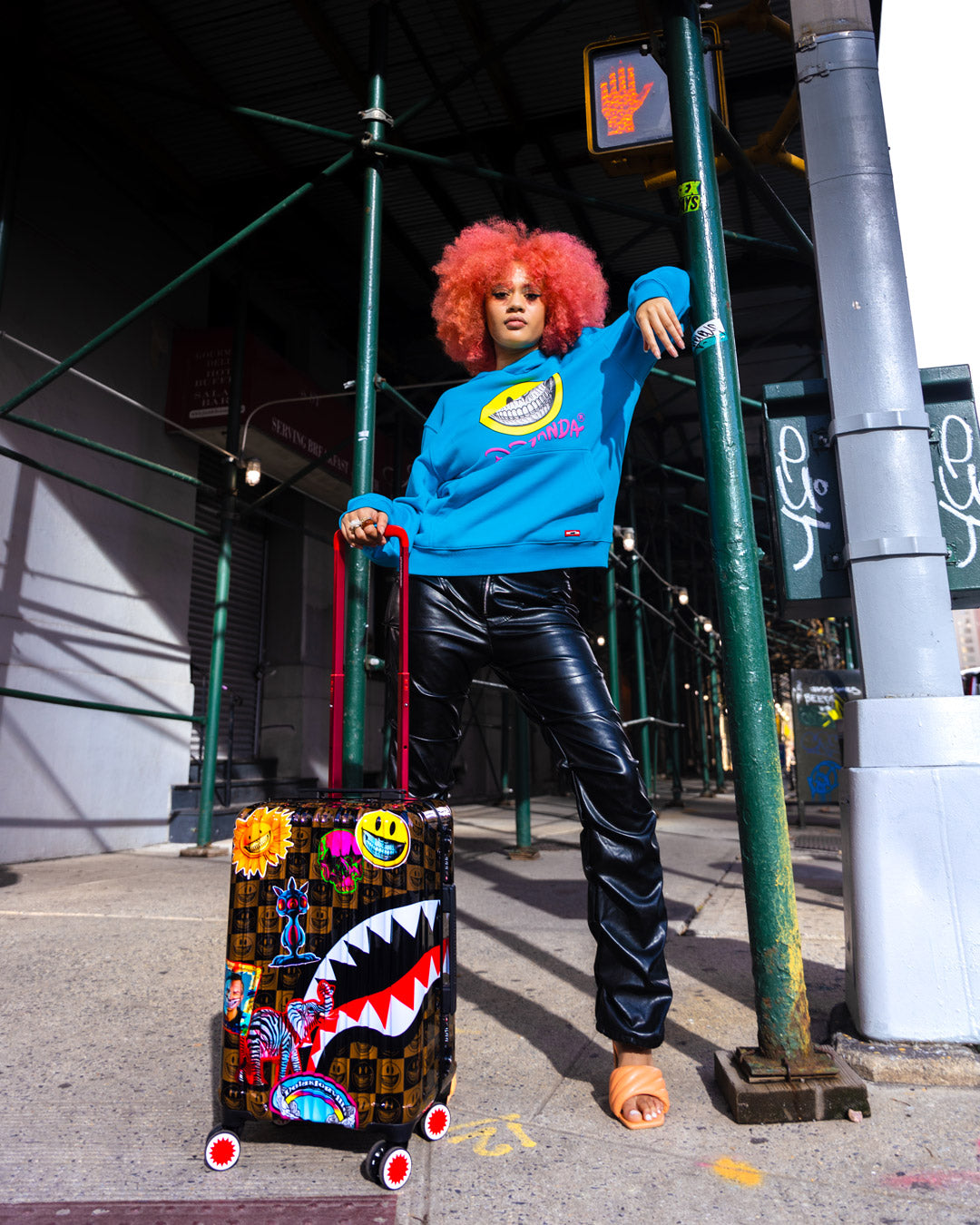 GLOBAL MOGUL POPAGANDA RON ENGLISH EDITION HARDSHELL CARRY-ON LUGGAGE