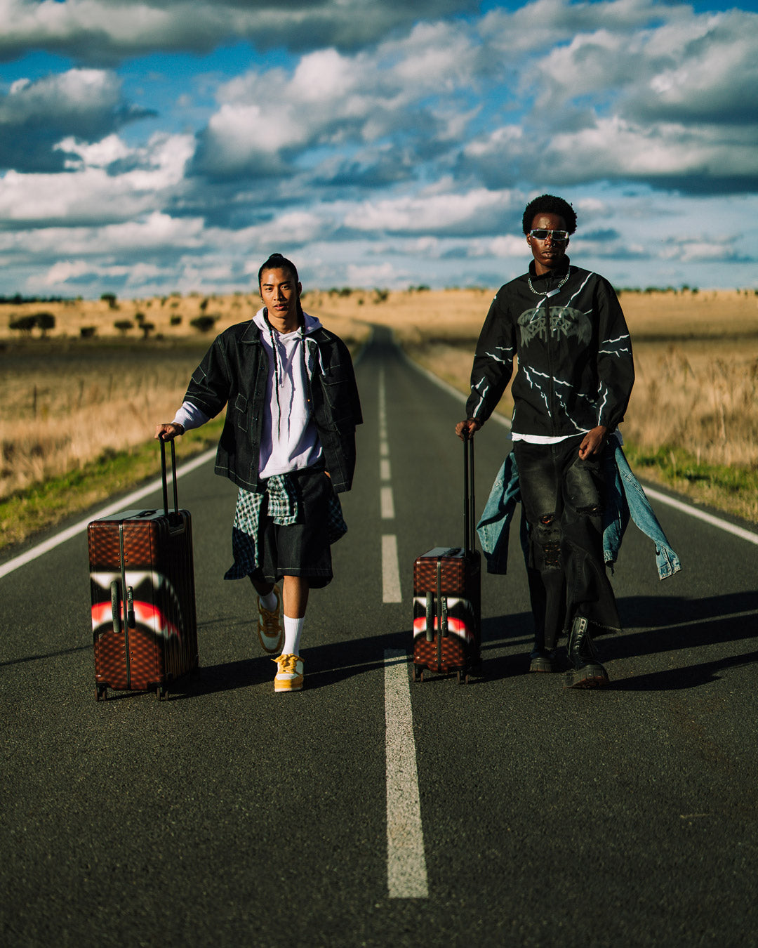 SHARKS IN PARIS BLUR EFFECT FULL SIZE LUGGAGE