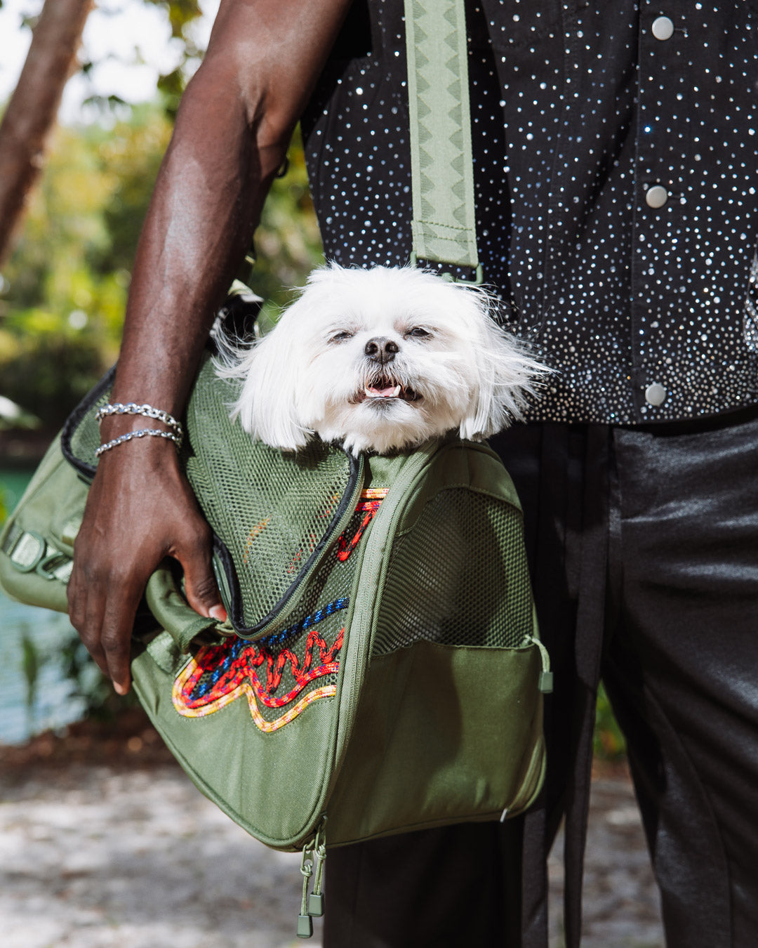 WON'T STOP TILL THE TOP PET CARRIER